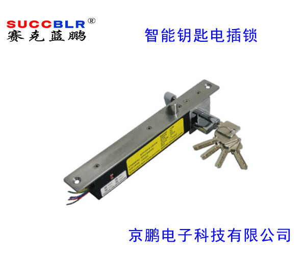 【智（zhì）能鑰匙型電插鎖】賽克藍鵬SUCCBLR智能鑰匙型電插鎖SL-S203DW